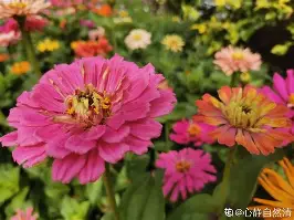 九洲官方在线入口-关于利物浦转会期战术微调广厦男篮遗憾出局备战CBA常规赛，詹姆斯逆转绝杀瞬间刷屏的信息
